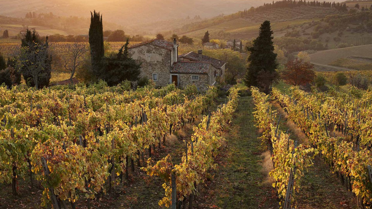 Cantine Leonardo Da Vinci