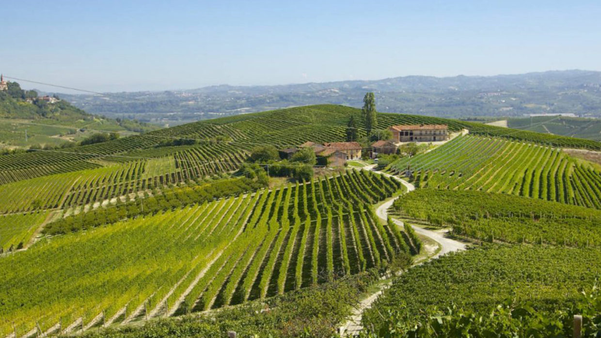 Cascina Chicco: dal Roero una storia di famiglia