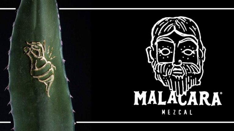 Malacara: el ritual del Mezcal